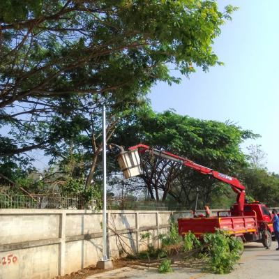 275234974 326483476182273 677771052926207013 N