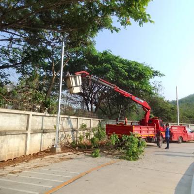 275243400 326483486182272 6908547142548648803 N