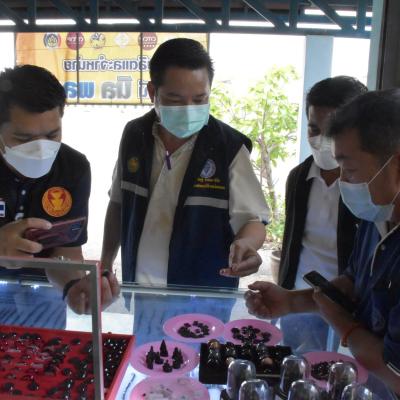 277364693 343605564470064 7782893956780457452 N