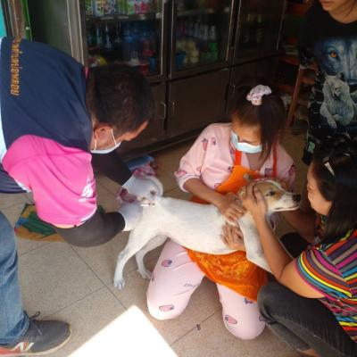 278121655 348103174020303 3129368450822809377 N