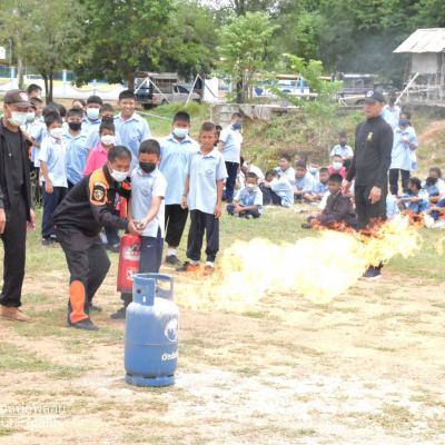 293569366 412885044208782 4035563929722428475 N