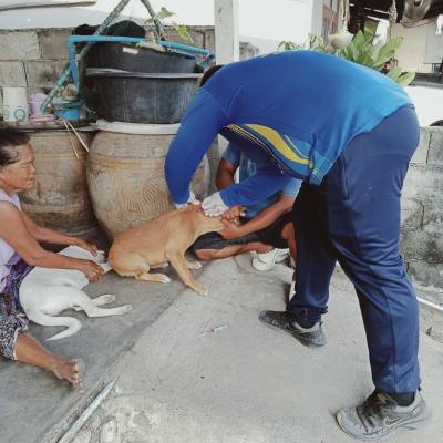 335942205 749901936548398 3391305730697695588 N