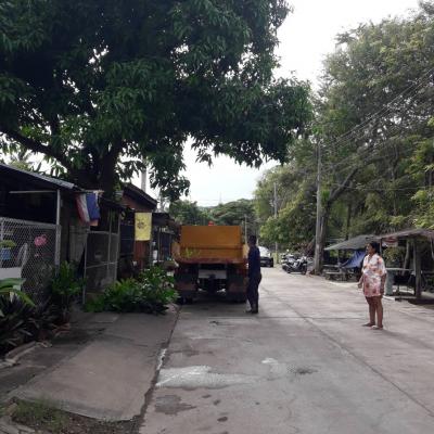 รายงานผลการคำร้องขอตัดต้นไม้