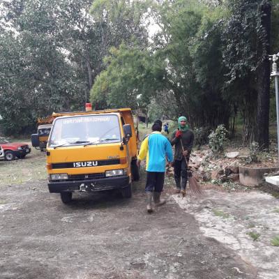 รายงานผลคำร้องขอตัดต้นไม้