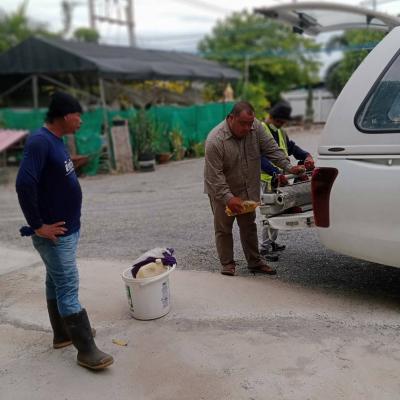 356703099 249374157801465 8987882337489861636 N