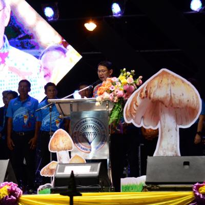 377980053 690424789788138 5915495379761609583 N