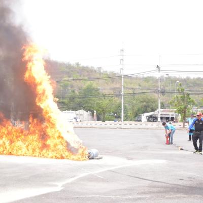 486228332 1058441802986433 3201392517254652031 N