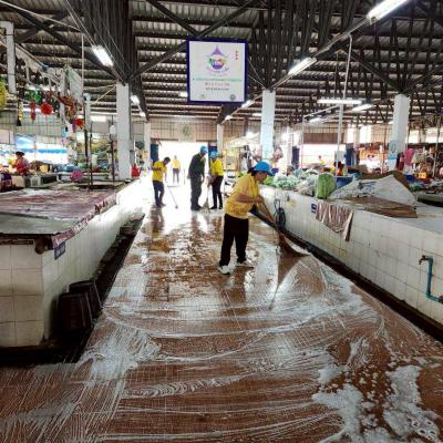 487233090 1063033575860589 1752998994834780766 N