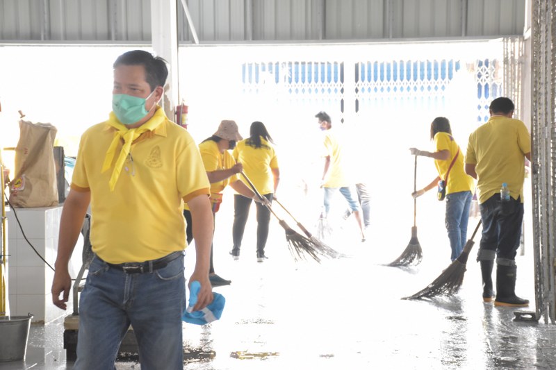 DSC 0080 800x533